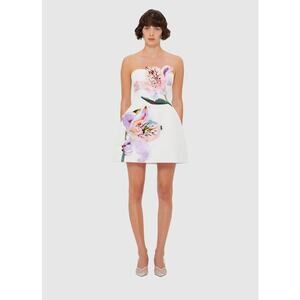 LEO LIN Women's Rosario Appliqué Floral Bustier Mini Dress sz 2